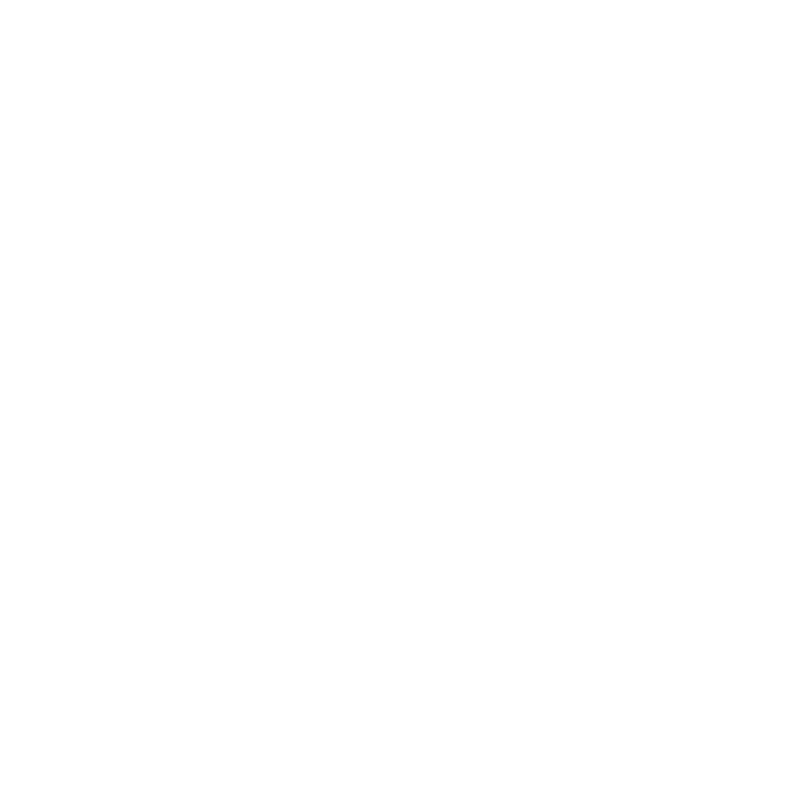 Feest- en Kerstverlichting – Lichtschuur